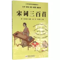 音像宋词三百首诸华,邓启铜 注释;诸华,邓启铜 丛书主编