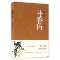 音像桂香街范小青