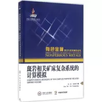 音像斑岩相关矿床复杂系统的计算模拟孙涛,刘亮明 著
