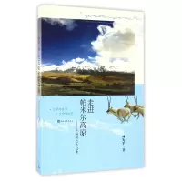 音像走进帕米尔高原--穿越柴达木盆地刘先平