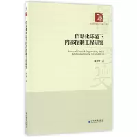 音像信息化环境下内部控制工程研究/经济管理学术文库周卫华