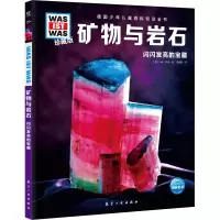 音像矿物与岩石(德)卡琳‧菲南