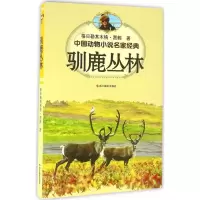 音像驯鹿丛林格日勒其木格·黑鹤 著