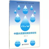 音像中国水资源利用效率研究飞 著