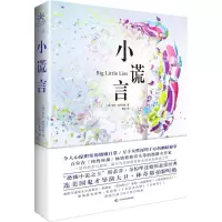 音像小谎言(澳)莉安·莫里亚提(Liane Moriarty) 著;黄瑶 译