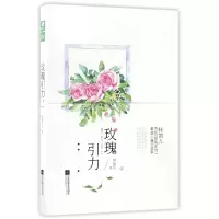 音像玫瑰引力林笛儿
