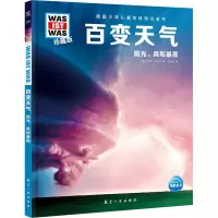 音像百变天气(德)卡斯登‧许旺克