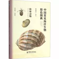 音像中国常见海洋生物原色图典 软体动物魏建功,曲学存 编