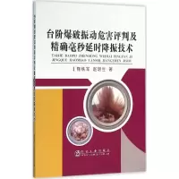 音像台阶爆破振动危害评判及毫秒降振技术陶铁军,赵明生 著