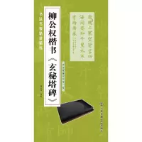 音像柳公权楷书《玄秘塔碑》施志伟 编著