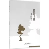 音像孤独北望尹文峰 著
