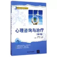 音像心理咨询与治疗(第2版教师教育系列教材)编者:雷秀雅