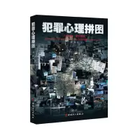 音像犯罪心理拼图刘栋