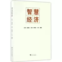 音像智慧经济编者:王辉//徐理虹//付强//李雪灵//于洋