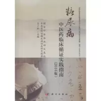 音像糖尿病医临床循实践指南仝小林 主编