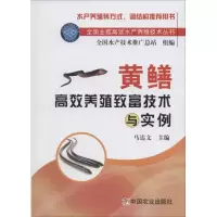 音像黄鳝高效养殖致富技术与实例马达文 主编