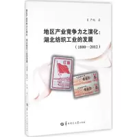 音像地区产业竞争力之演化严鹏 著