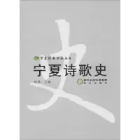 音像宁夏诗歌史杨梓 主编