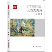 音像营救麦克黄石一枫 著