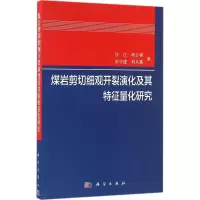 音像煤岩剪切细观开裂演化及其特征量化研究许江 等 著