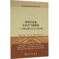 音像准噶尔盆地火山岩气藏描述钱根葆 等 著