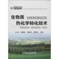 音像生物质热化学转化技术肖波 等 主编
