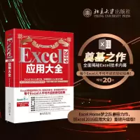 音像Excel 2019应用大全Excel Home 编