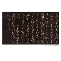 音像历代大草法帖精粹陈阳静 侯冬菊