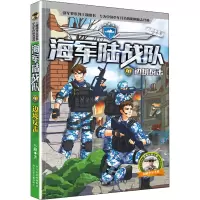 音像边境反击八路