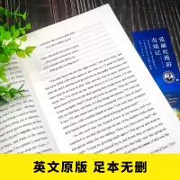 音像爱丽丝漫游奇境记(附词汇注解)(英文版)[英] 路易斯·卡罗尔