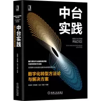 音像中台实践 数字化转型方与解决方案陈新宇 等