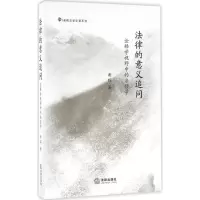 音像法律的意义追问谢晖 著