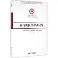 音像新诗现代建设研究王珂 著