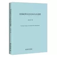 音像刑事政策司法化的内在道德孙万怀