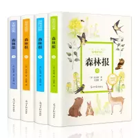音像森林报 彩图美绘版(全4册)(苏)比安基