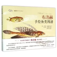 音像布洛赫手绘鱼类图谱(精)/博物学经典丛书/博物文库