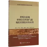 音像准噶尔盆地碎屑岩岩油气藏地震识别技术及应用娄兵 等 著