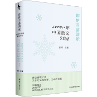 音像即使雪落满舱 2020年中国散文20家张莉