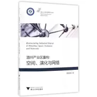 音像温州产业区重构--空间演化与网络/温州人经济研究丛书剑