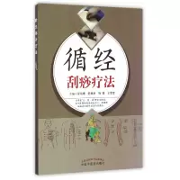 音像循经刮痧疗法编者:徐鸣曙//陈春艳//施茵//王莹莹