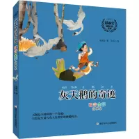音像灰天鹅的奇迹 注音全彩故事本赵丽宏
