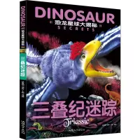 音像三叠纪迷踪龚勋 编