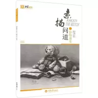 音像素描问道庞源 编著