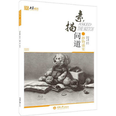 音像素描问道庞源 编著