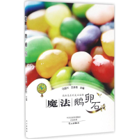 音像魔法鹅卵石马国兴,王彦艳 主编