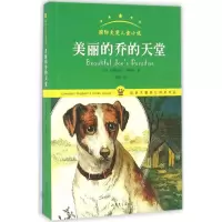 音像美丽的乔的天堂(加)玛格丽特·桑德斯 著;张倩 译