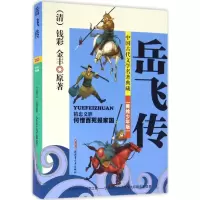 音像岳飞传(清)钱彩,(清)金丰 著;贾仁江 改写