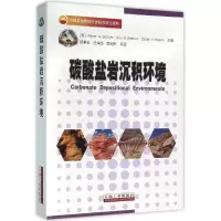 音像碳酸盐岩沉积环境