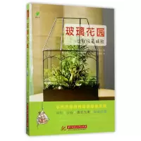 音像玻璃花园这样玩精致(美)玛丽亚·科利特|译者:王丽蓉