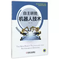 音像自主研抛机器人技术王文忠